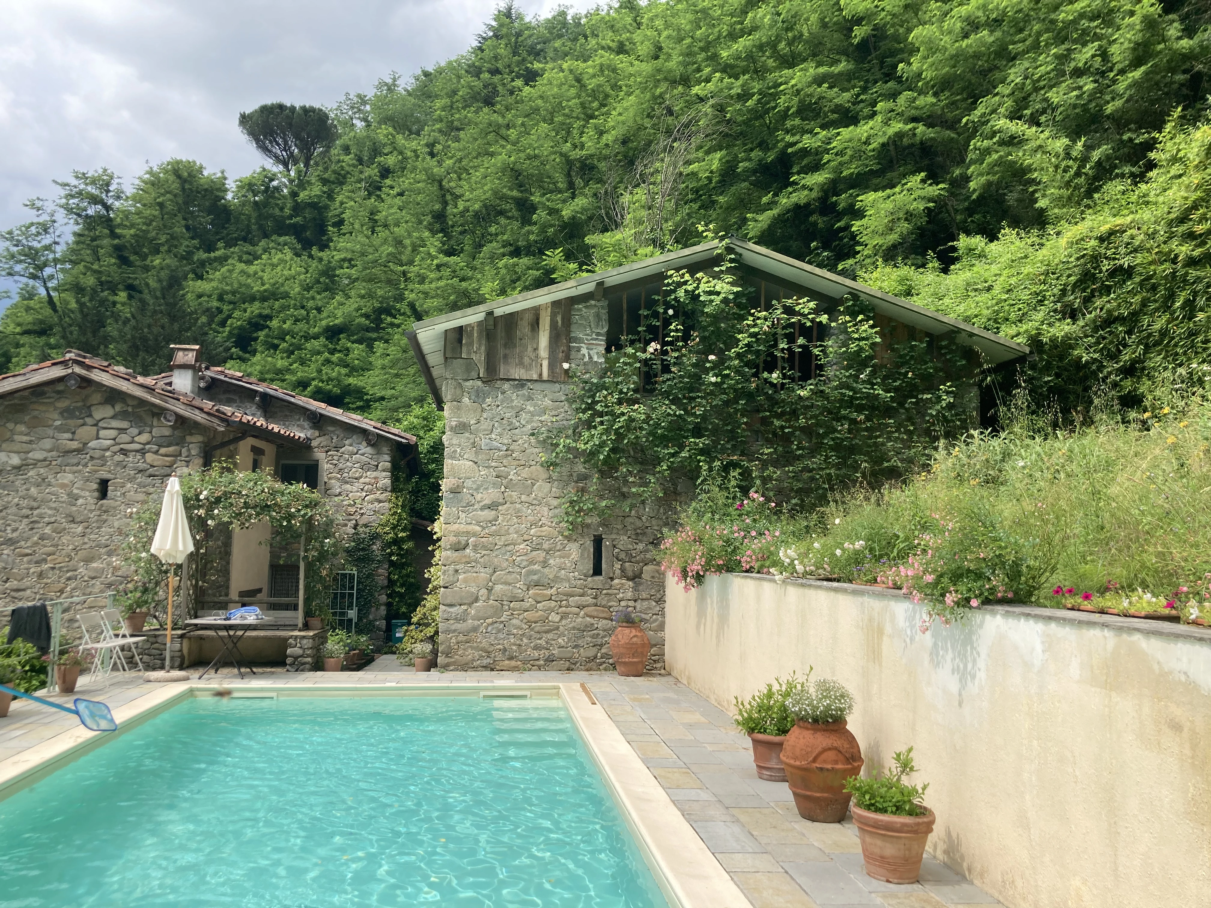 Private swimming pool beside the stone millhouse and wooded hillside