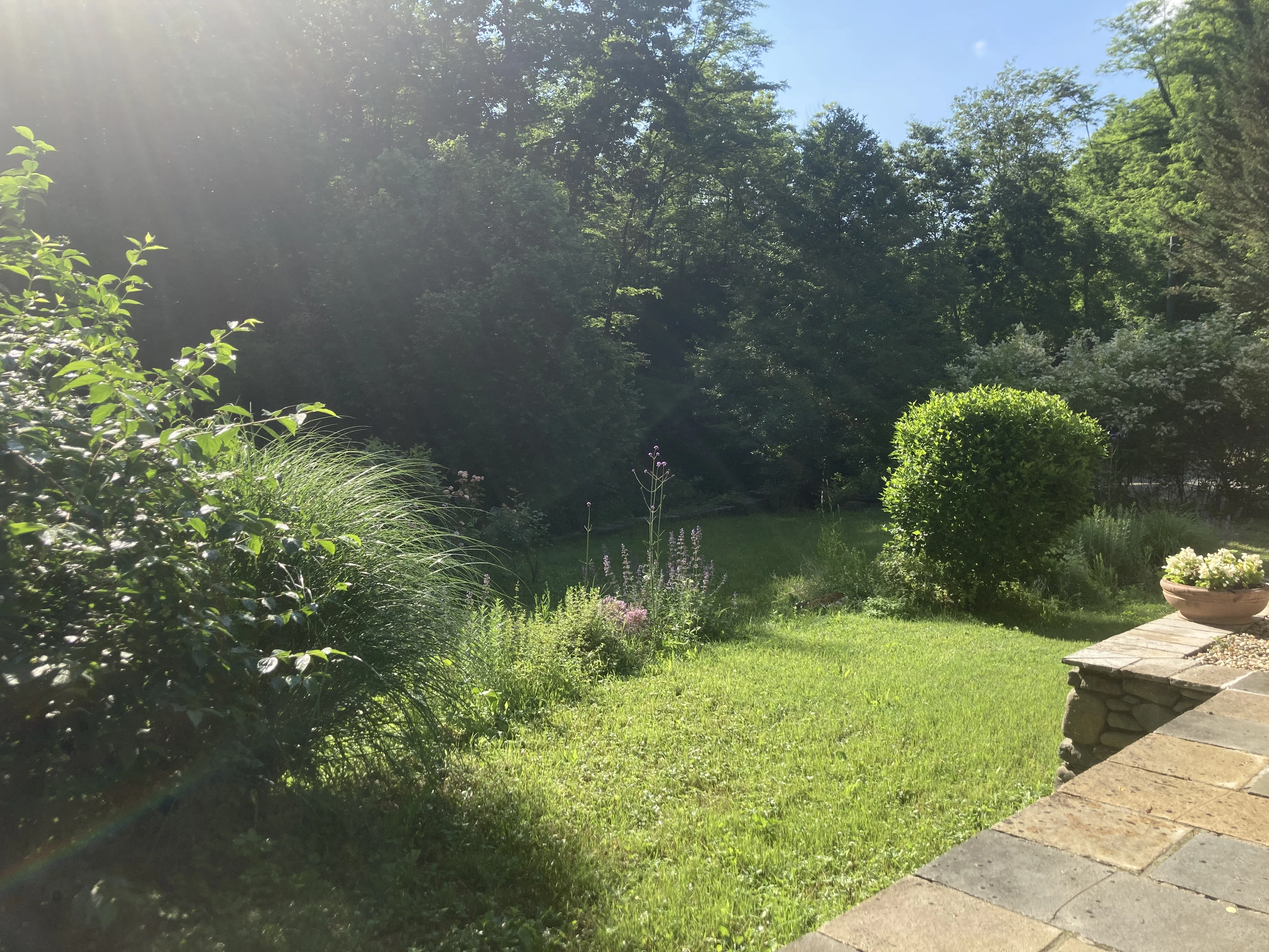 Sunlit garden lawn and stone path leading toward the millhouse