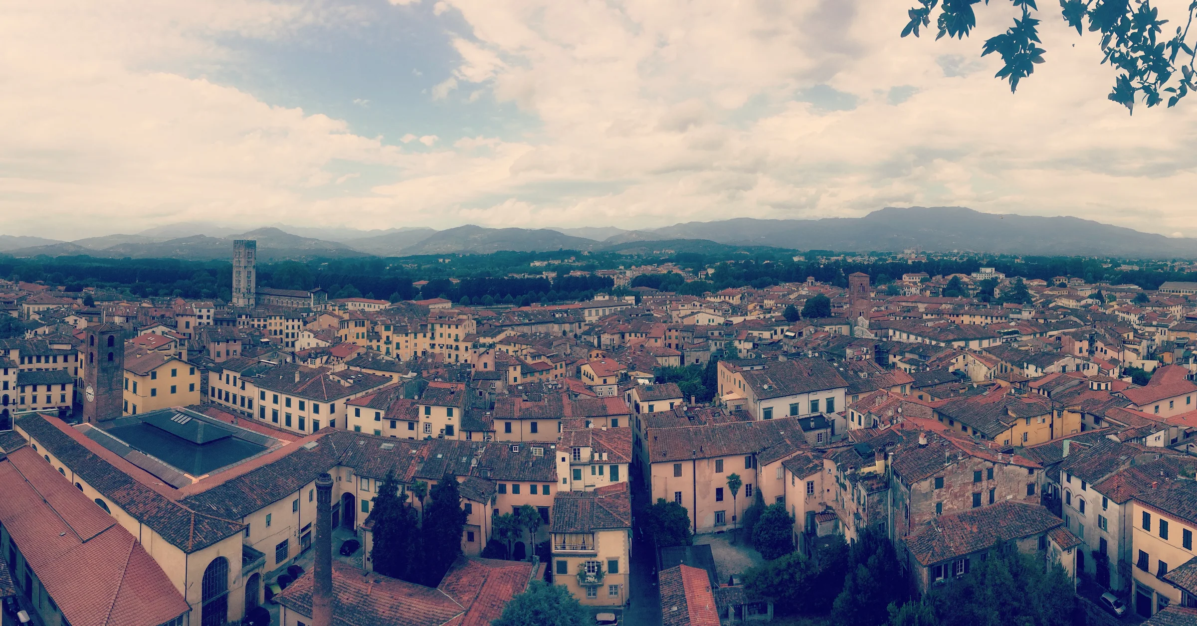 Wide panorama from the Torre Guinigi over Lucca rooftops with Tuscan hills beyond