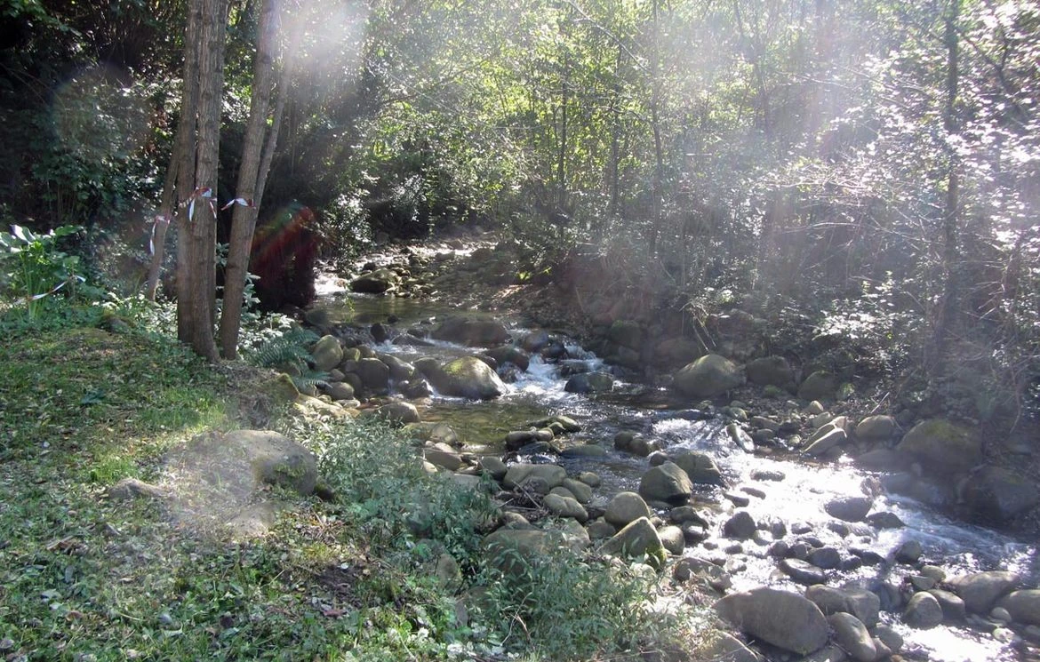 Shaded woodland stream running through the grounds near Mulino